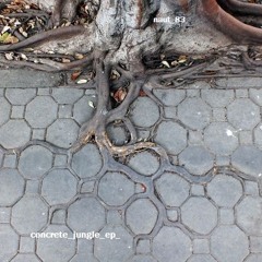 kidnapp-concrete jungle e.p..mp3