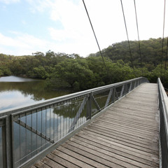 Bobbin Head Bridge