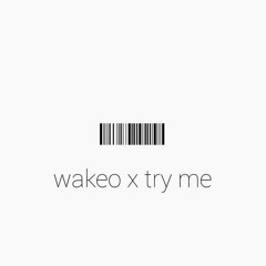 Wakeo - Try Me