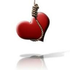 The Human (More) Offical Version