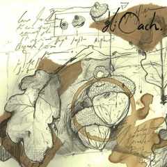 02 - Di Oach - Don't Know