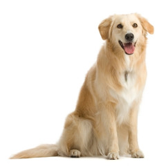 post rockish medley thing I was gonna use for watermedown but idk