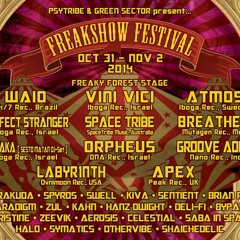 Labyr1nth Live @ Freakshow Festival 2014