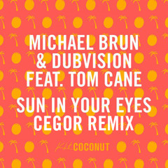 Michael Brun & DubVision Ft. Tom Cane - Sun In Your Eyes (Cegor Remix)