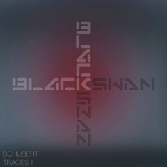 Schubert - Marble (Original)