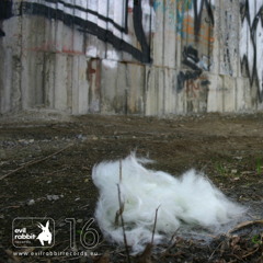 Throat (flute, computer)