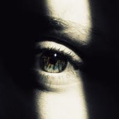 INTO THE DARK (NOV14)