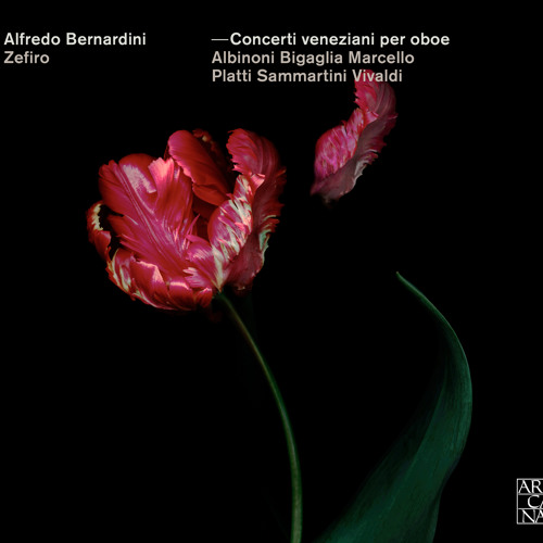 A. Vivaldi - Oboe Concerto RV 449, 3rd mvt.