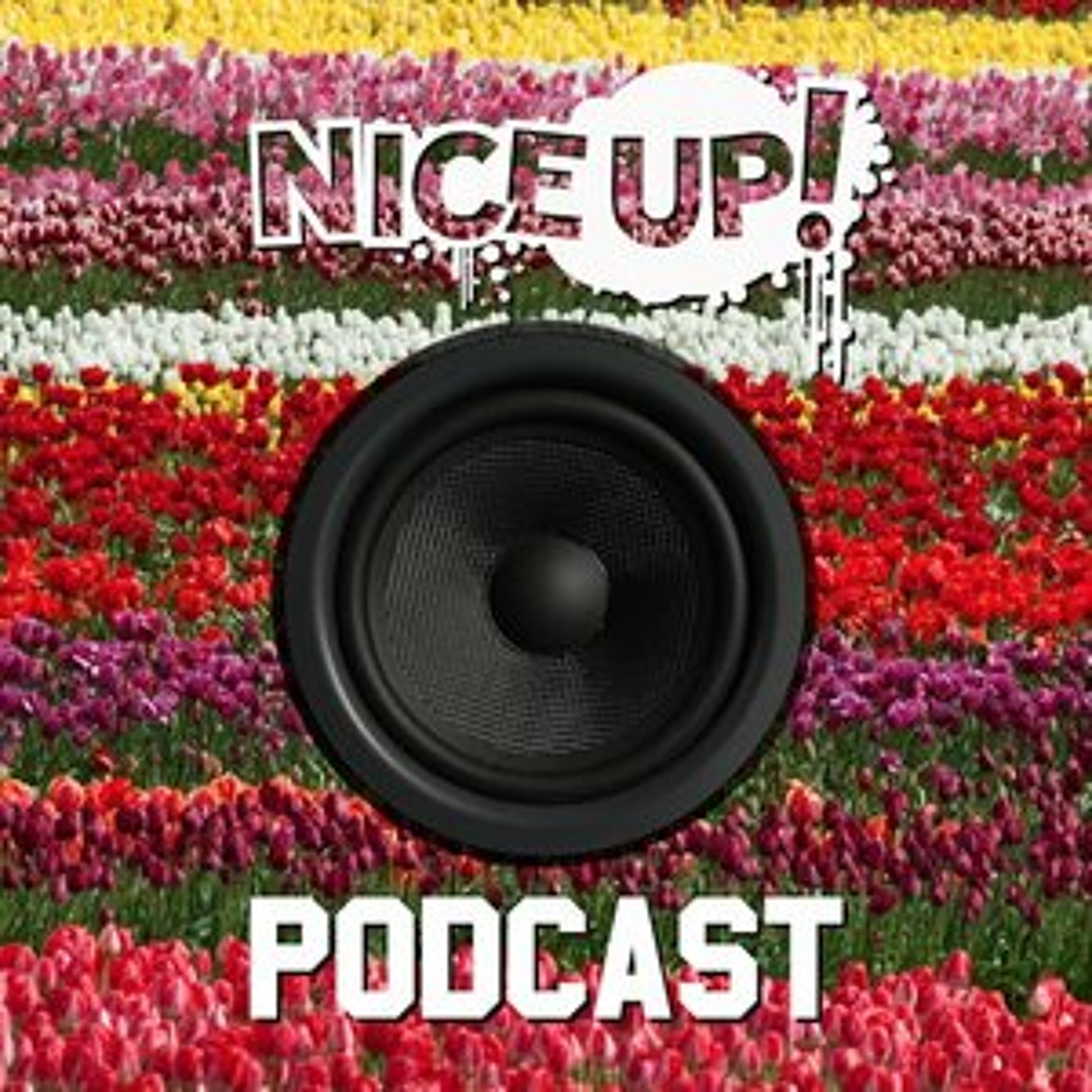 NICE UP! Podcast - May 2014 episode artwork