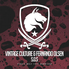 Vintage Culture, Fernando Olsen - SOS
