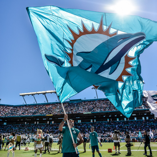 Miami dolphins song Clearance