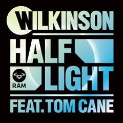 Wilkinson Feat Tom Cane - Half Light
