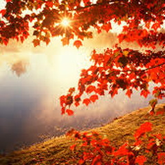 Autumn in My Heart ost.Endless Love Korean Drama