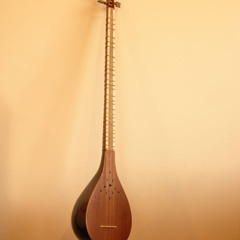 Persian Clasic