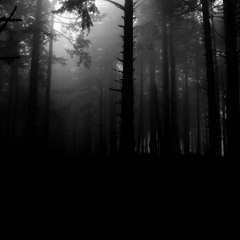 Aura Limbo (edición previa)