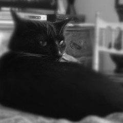 Overnight - Chilly Gonzales (Clapper remix)