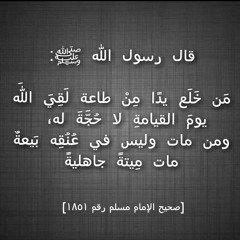 الشيخ ابن عثيمين: الذي لا يعترف بولي أمر بلده المسلم ويقول ليس به بيعة إن مات مات ميتة جاهلية