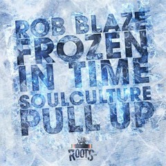 FROZEN IN TIME -ROB BLAZE -OUT NOW  -DIGITAL ROOTS-