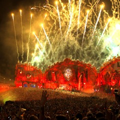 Pieces form Dimitri Vegas & Like Mike @ Tomorrowland 2014 (Mixed and edited by PRAXXIS)