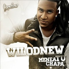 MENEA TU CHAPA - Dj Venom Remix - WILO D NEW