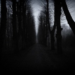 into the unknown (1998)