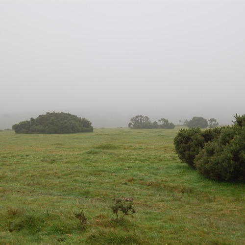 Where Lands End Elec