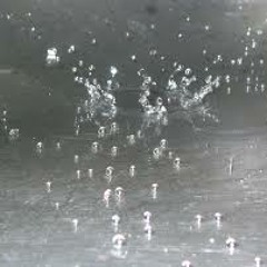 Jake Davis- Paralogism