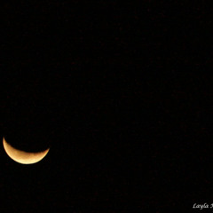 Wahussiena - P1 - ليلة الوحشة وقلب العيلة مفطور