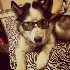 Welcome To Hood River