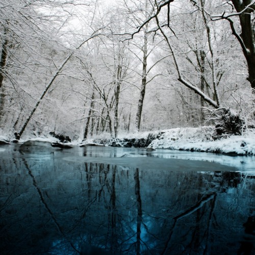 Vinter