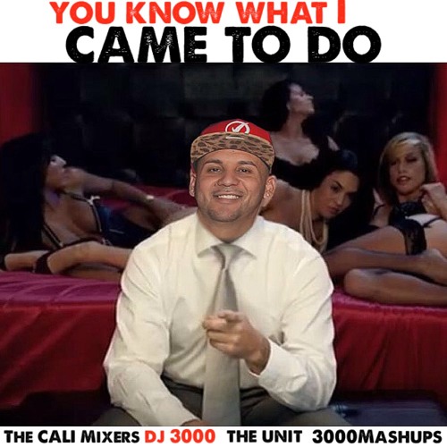 Dj 3000 - You know what i came to do