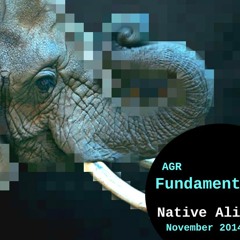 AGR Fundamentals : Native Alien