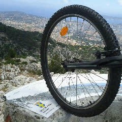 ROULE by YYP