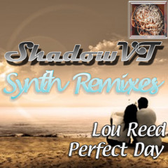 perfect day - Lou Reed (ShadowVT's Synthremix)