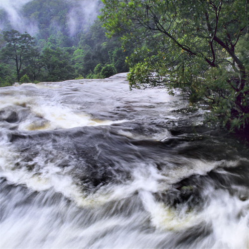 Flowing Stream in the Grampians, Victoria, Australia
