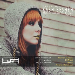 Mehran Abbasi ft. Dianaa - Kash Besheh (ReEdit)