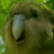 Artwork for The Nature Channel V1.2
