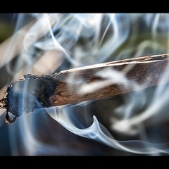 Smoking Trees | *SNP* | Prod. By TRAP_SON