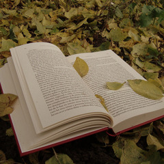 هبيني من العذر