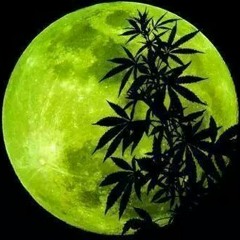 T.o.k - rise di gun fingers