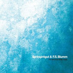 Springintgut & F.S. Blumm: Kieler Aufgang