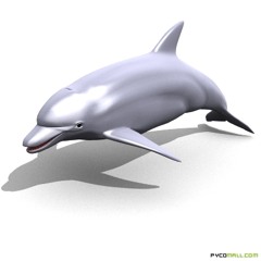 私にとってはあまりにも不気味な