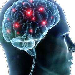 The Creative Mind