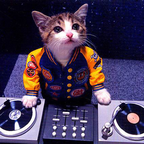 meow mix cat rave