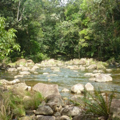 Songs of Namu - Live Demo