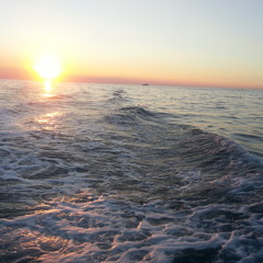 Live from the Mad Ferret stage @ Unknown Croatia 2014