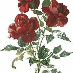 Habanera(from Carmen) -acapella