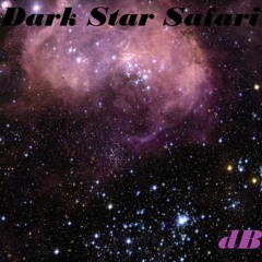 Dark Star Safari / das Band
