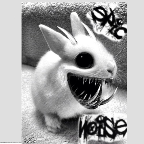 Epic Noise - Epic Bunny Noise