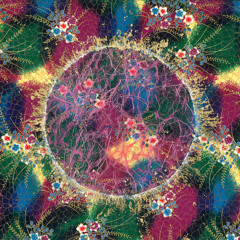Bardo (Edit)